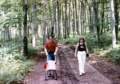 trektoandechs_small.jpg